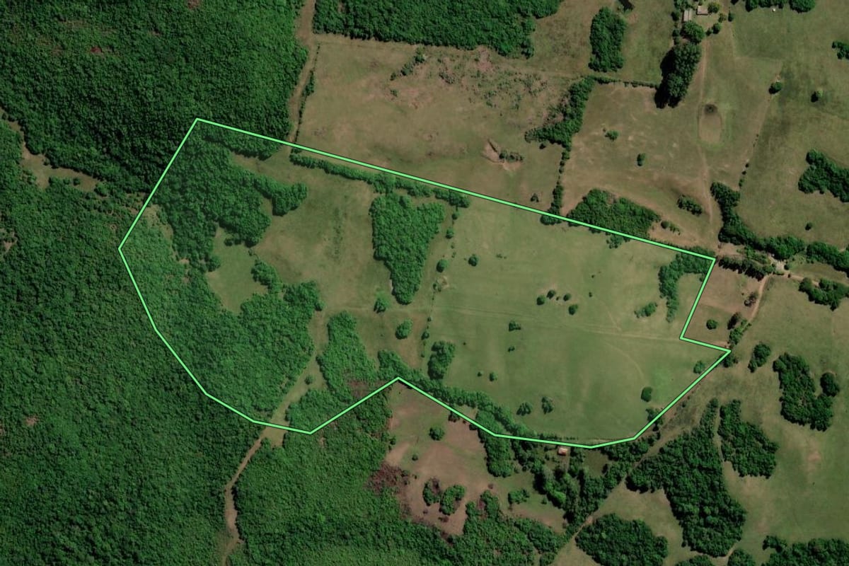 Imagem de satélite do imóvel rural em Caçapava do Sul (RS), com o contorno declarado no CAR desenhado por cima.