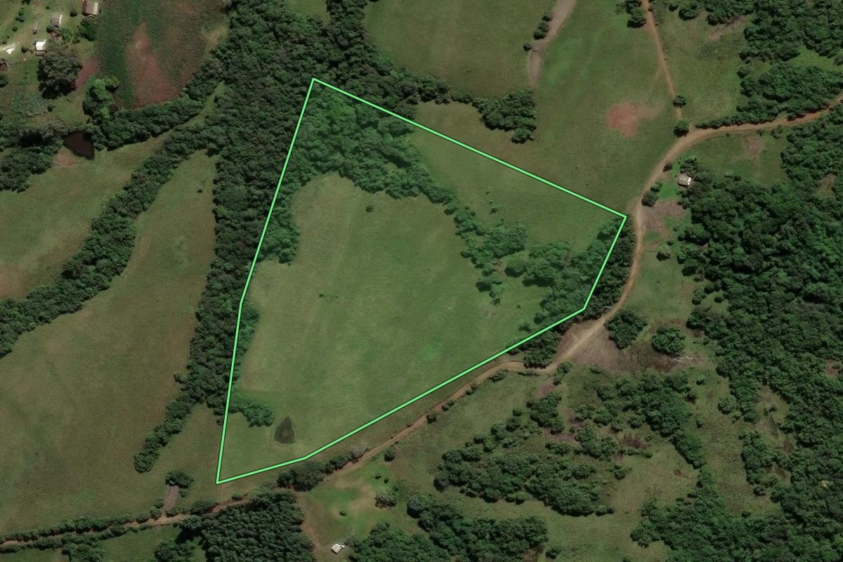 Imagem de satélite do imóvel rural em Caçapava do Sul (RS), com o contorno declarado no CAR desenhado por cima.
