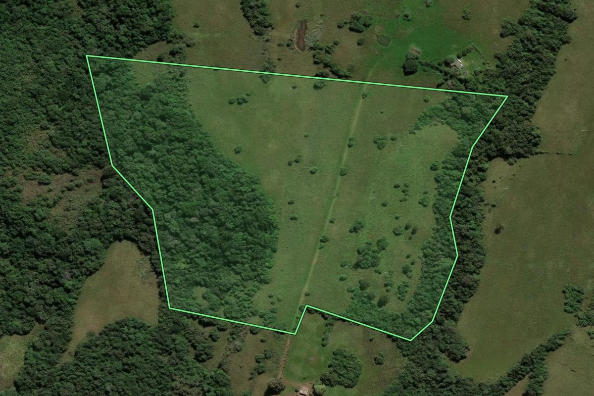 Imagem de satélite do imóvel rural em Caçapava do Sul (RS), com o contorno declarado no CAR desenhado por cima.