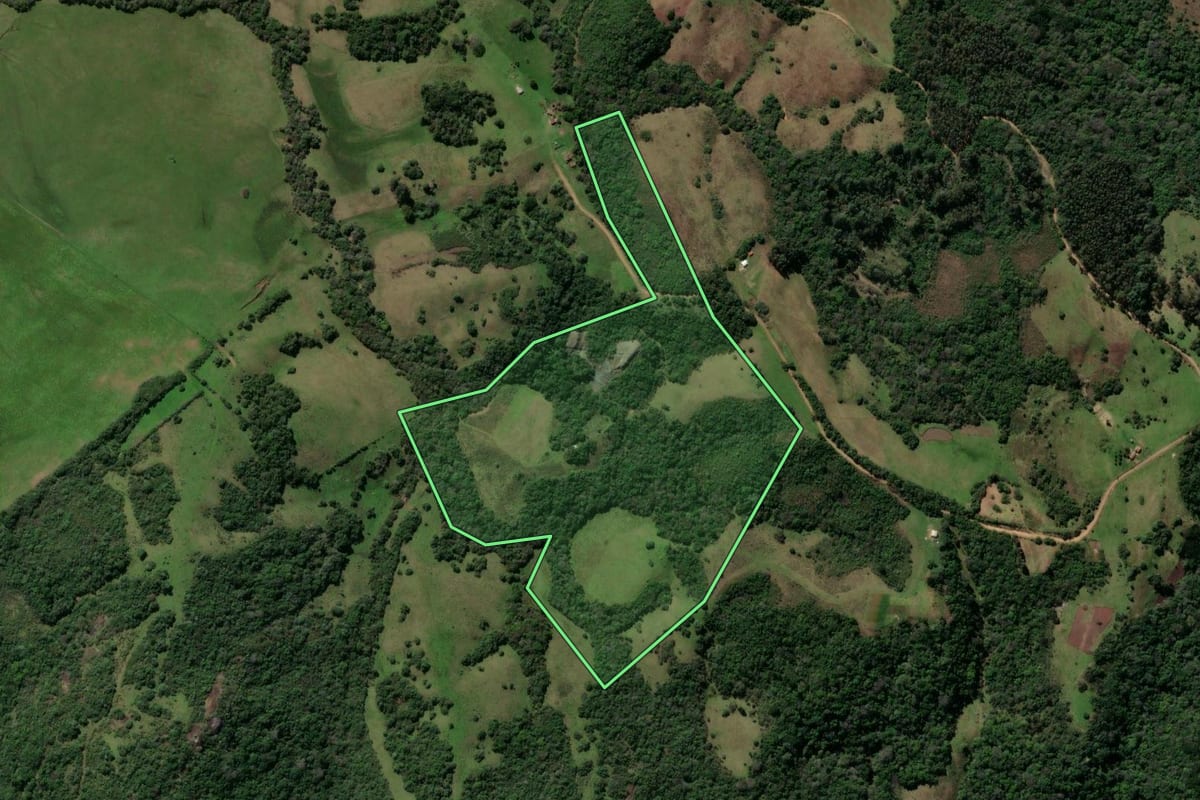 Imagem de satélite do imóvel rural em Caçapava do Sul (RS), com o contorno declarado no CAR desenhado por cima.
