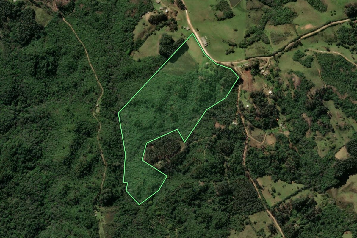 Imagem de satélite do imóvel rural em Caçapava do Sul (RS), com o contorno declarado no CAR desenhado por cima.
