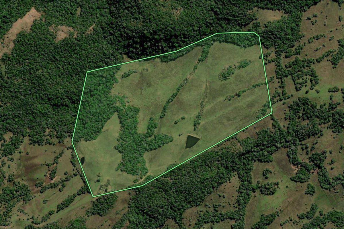 Imagem de satélite do imóvel rural em Caçapava do Sul (RS), com o contorno declarado no CAR desenhado por cima.