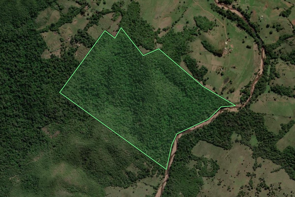 Imagem de satélite do imóvel rural em Caçapava do Sul (RS), com o contorno declarado no CAR desenhado por cima.