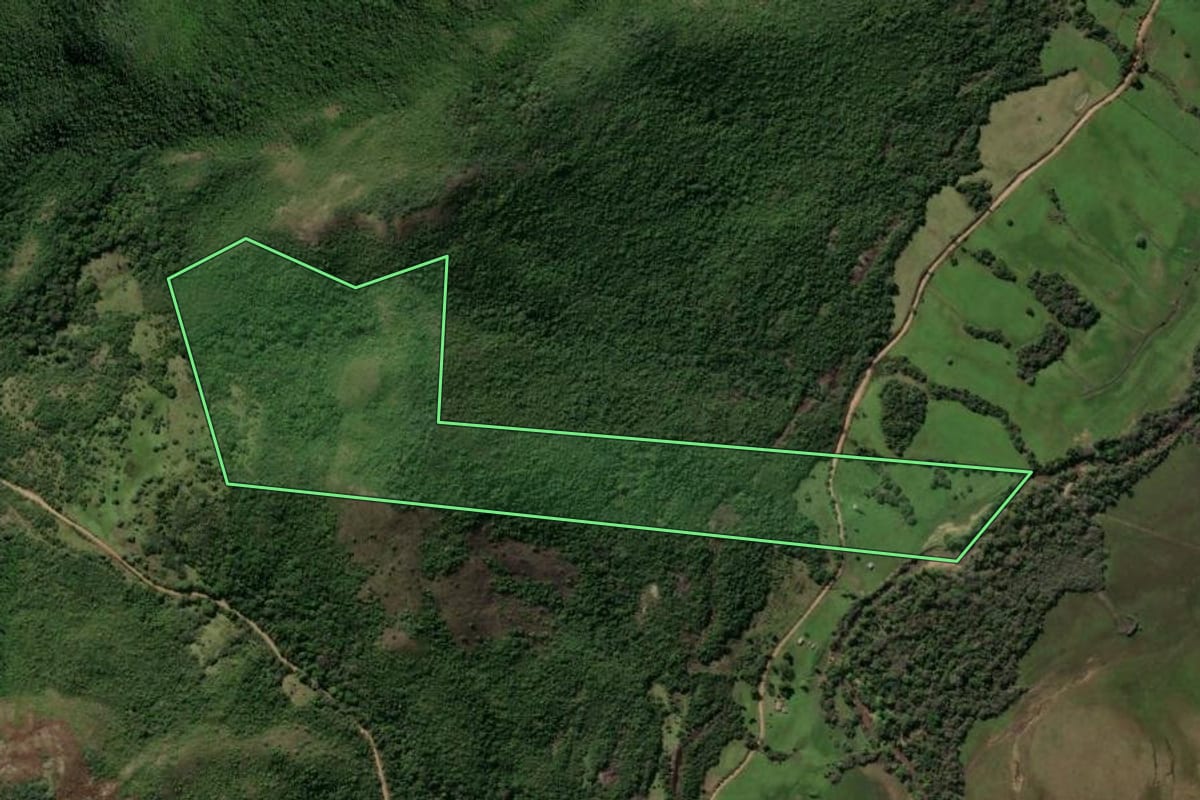 Imagem de satélite do imóvel rural em Caçapava do Sul (RS), com o contorno declarado no CAR desenhado por cima.