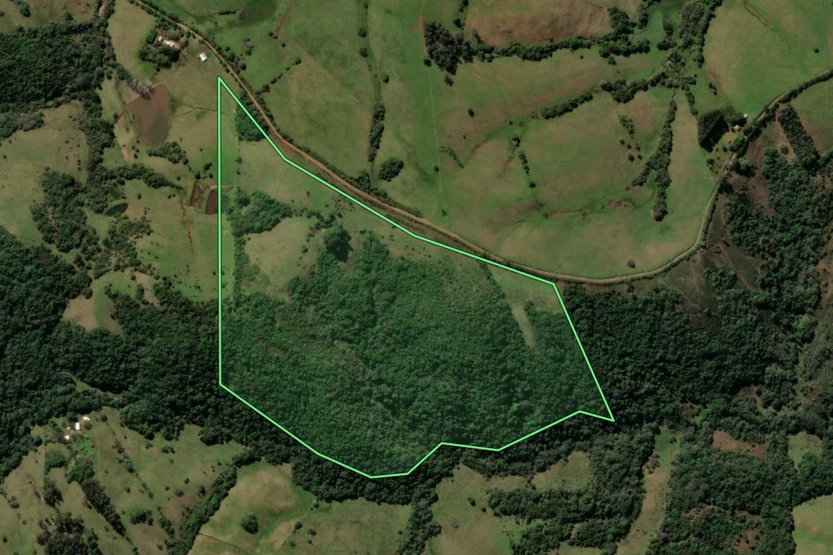 Imagem de satélite do imóvel rural em Caçapava do Sul (RS), com o contorno declarado no CAR desenhado por cima.