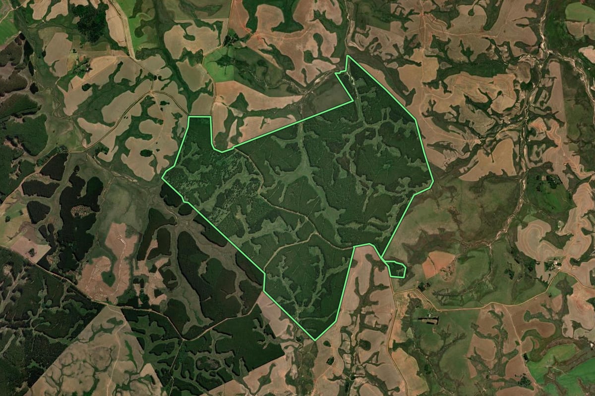 Imagem de satélite do imóvel rural em Cacequi (RS), com o contorno declarado no CAR desenhado por cima.