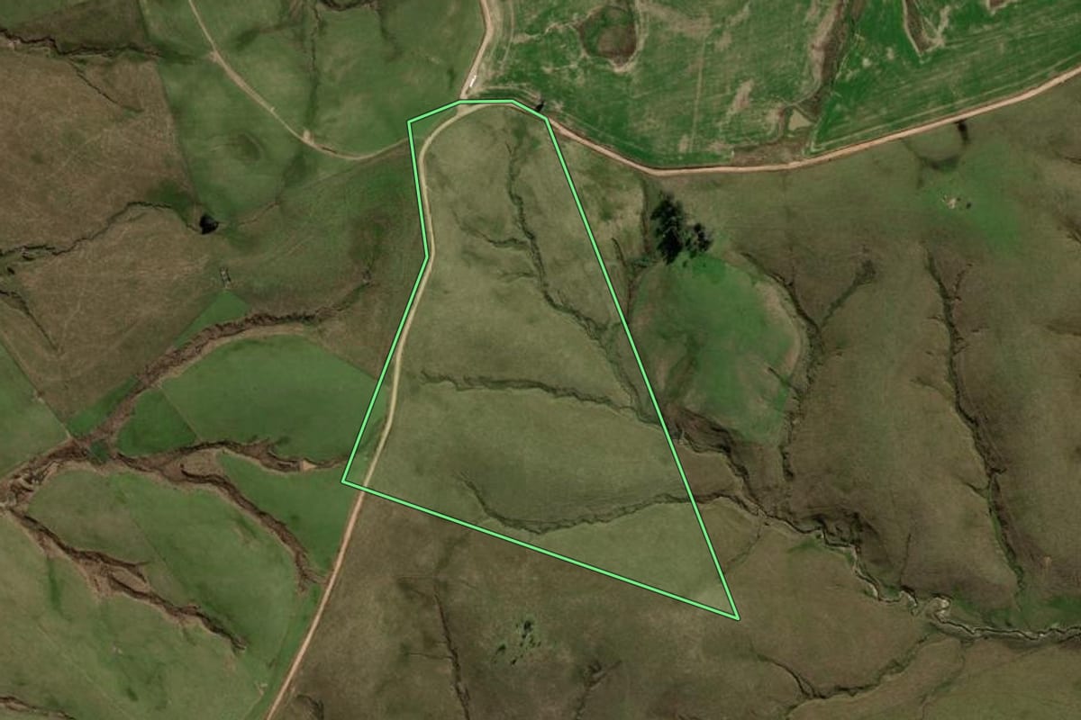 Imagem de satélite do imóvel rural em Cacequi (RS), com o contorno declarado no CAR desenhado por cima.
