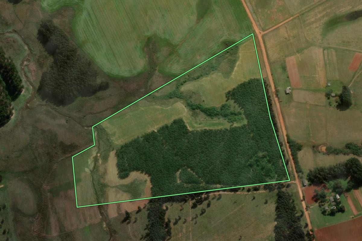 Imagem de satélite do imóvel rural em Cacequi (RS), com o contorno declarado no CAR desenhado por cima.