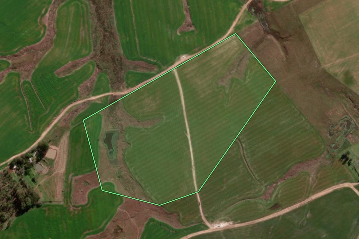 Imagem de satélite do imóvel rural em Cacequi (RS), com o contorno declarado no CAR desenhado por cima.