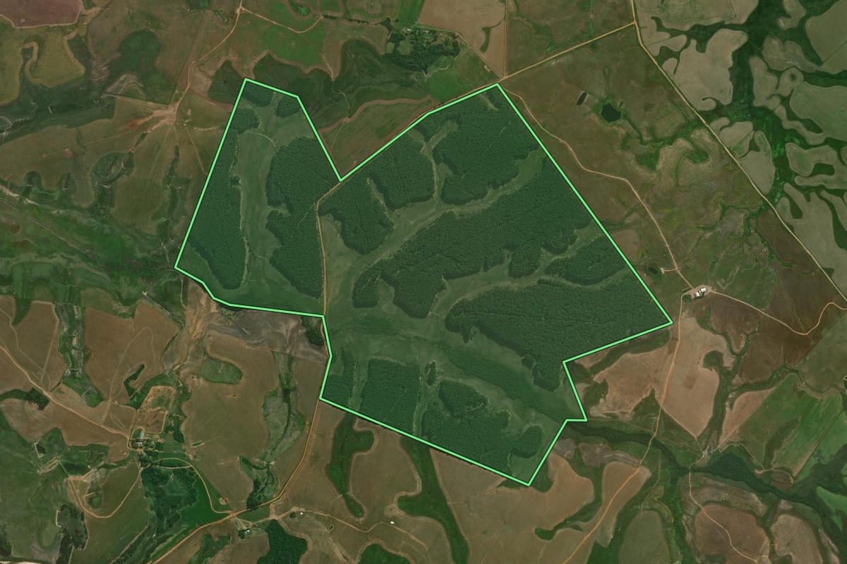 Imagem de satélite do imóvel rural em Cacequi (RS), com o contorno declarado no CAR desenhado por cima.