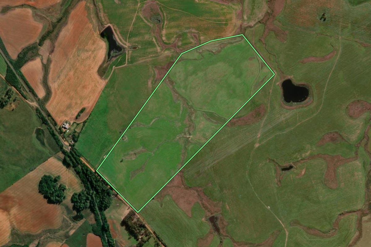 Imagem de satélite do imóvel rural em Cacequi (RS), com o contorno declarado no CAR desenhado por cima.