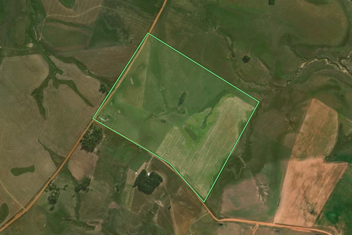 Imagem de satélite do imóvel rural em Cacequi (RS), com o contorno declarado no CAR desenhado por cima.