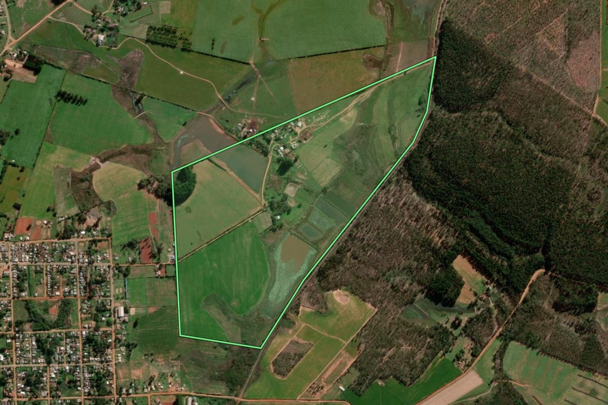 Imagem de satélite do imóvel rural em Cacequi (RS), com o contorno declarado no CAR desenhado por cima.