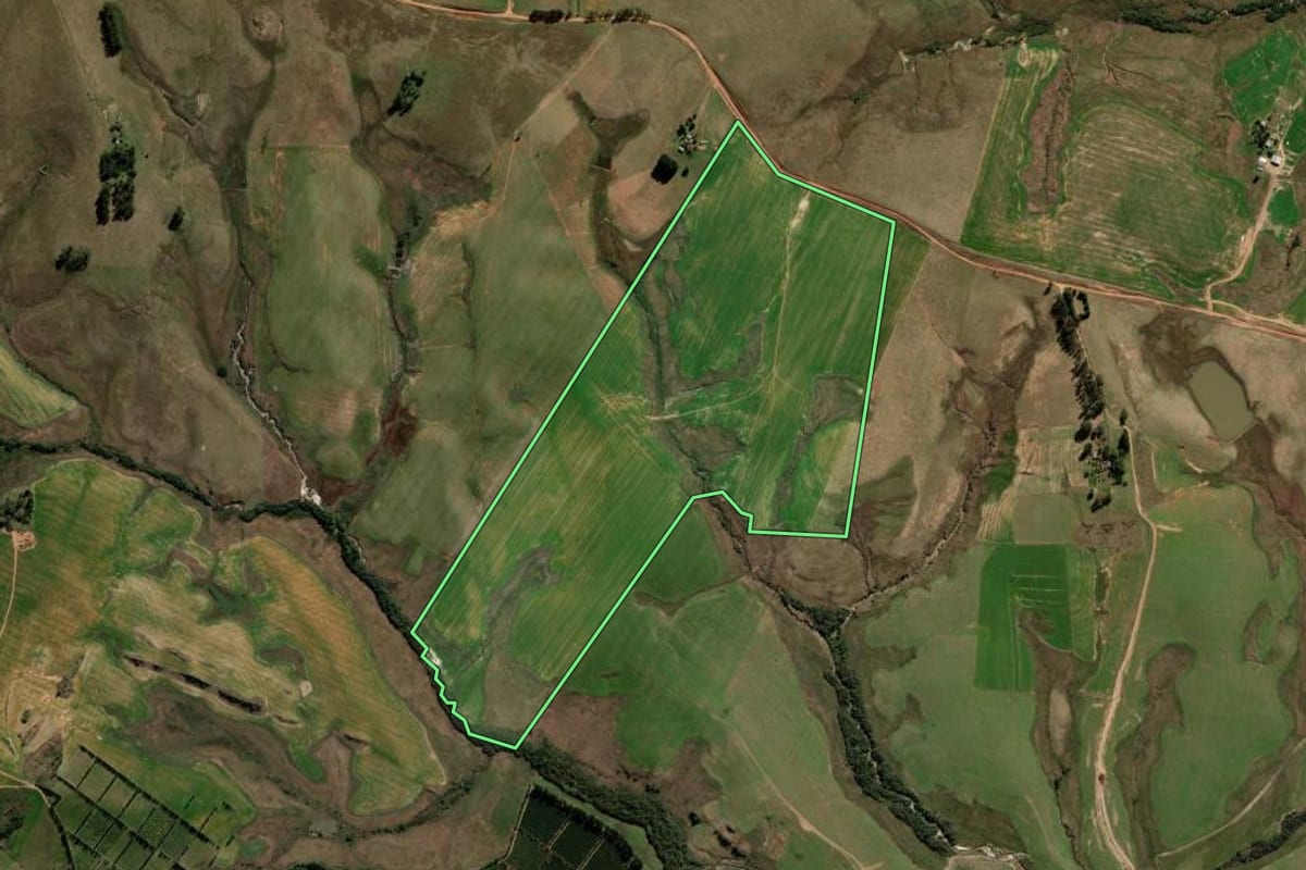 Imagem de satélite do imóvel rural em Cacequi (RS), com o contorno declarado no CAR desenhado por cima.