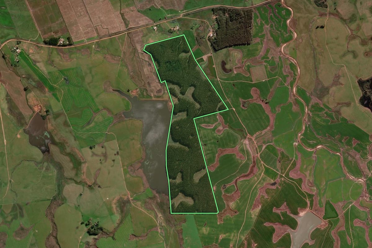 Imagem de satélite do imóvel rural em Cacequi (RS), com o contorno declarado no CAR desenhado por cima.