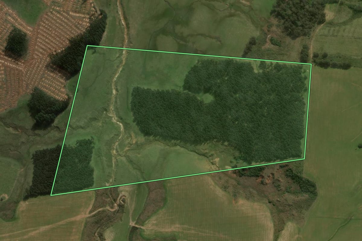 Imagem de satélite do imóvel rural em Cacequi (RS), com o contorno declarado no CAR desenhado por cima.