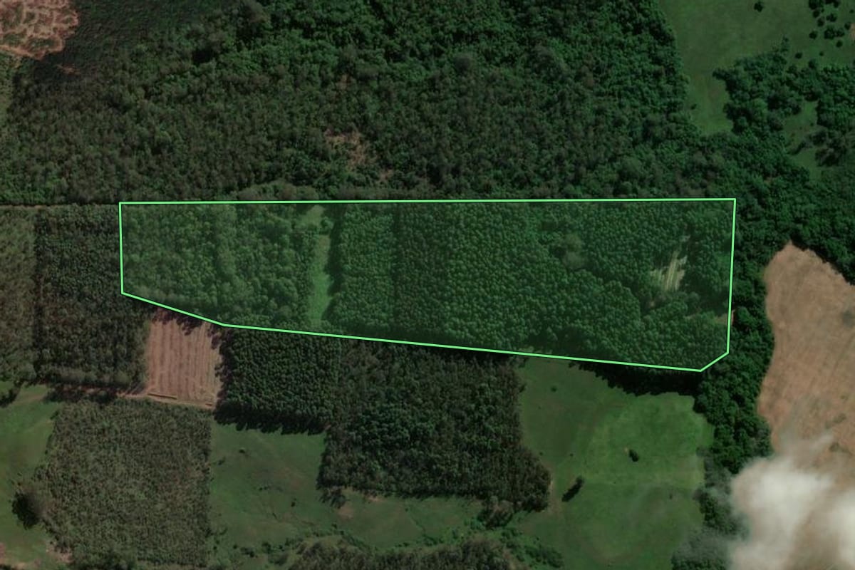 Imagem de satélite do imóvel rural em Cachoeira do Sul (RS), com o contorno declarado no CAR desenhado por cima.