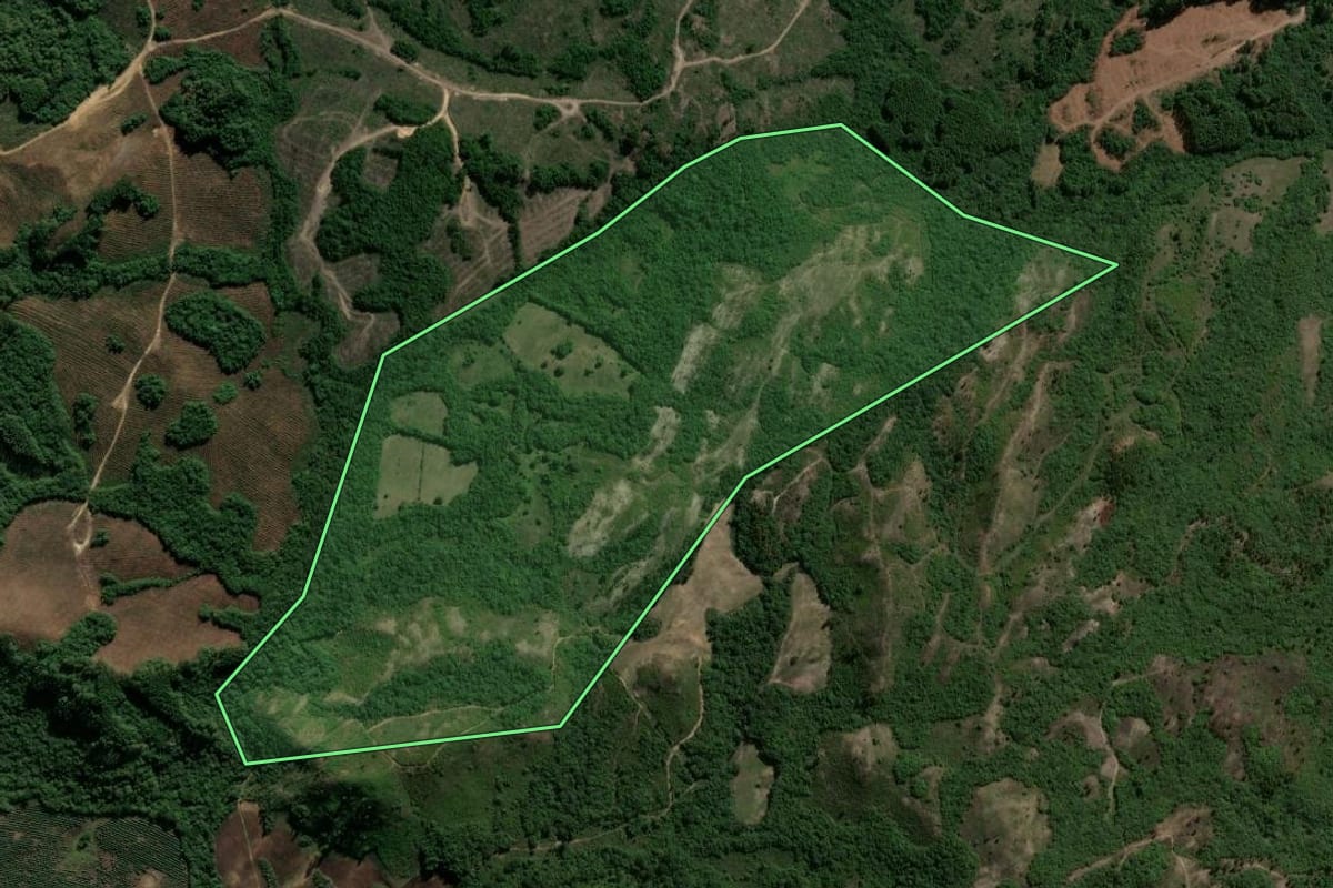Imagem de satélite do imóvel rural em Cachoeira do Sul (RS), com o contorno declarado no CAR desenhado por cima.