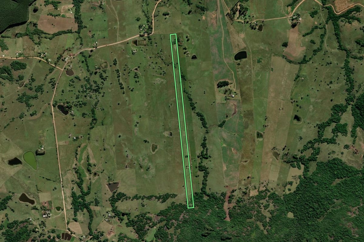 Imagem de satélite do imóvel rural em Cachoeira do Sul (RS), com o contorno declarado no CAR desenhado por cima.