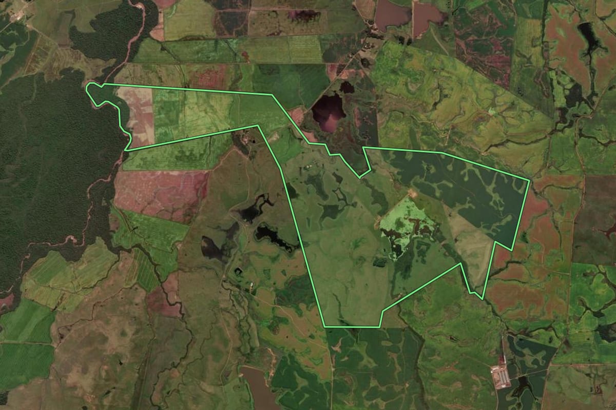Imagem de satélite do imóvel rural em Cachoeira do Sul (RS), com o contorno declarado no CAR desenhado por cima.