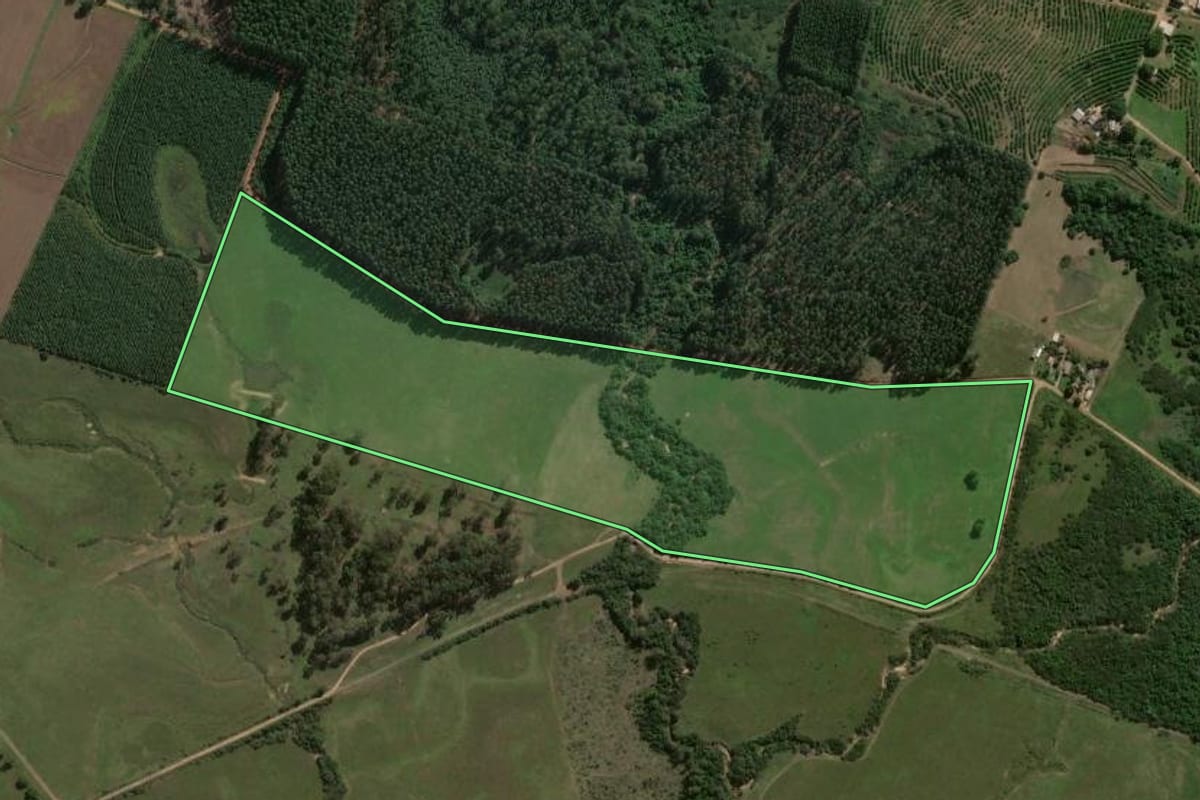 Imagem de satélite do imóvel rural em Cachoeira do Sul (RS), com o contorno declarado no CAR desenhado por cima.