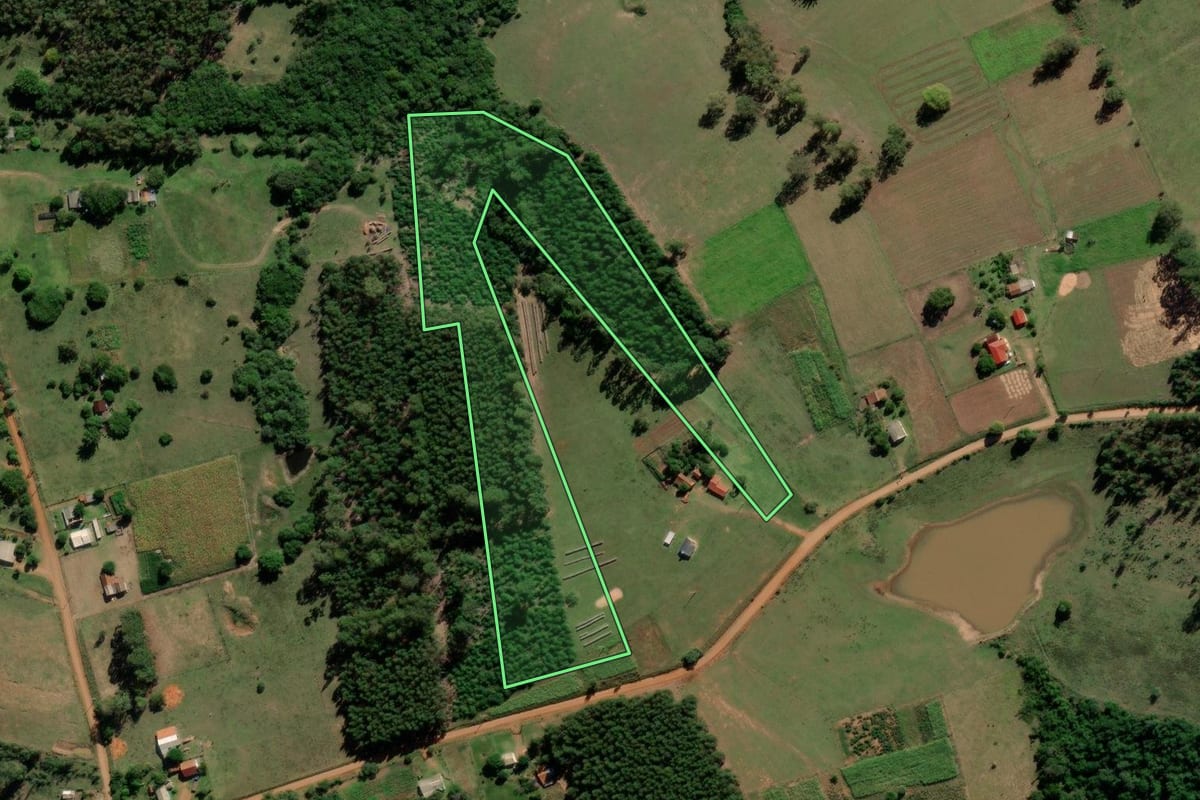 Imagem de satélite do imóvel rural em Cachoeira do Sul (RS), com o contorno declarado no CAR desenhado por cima.