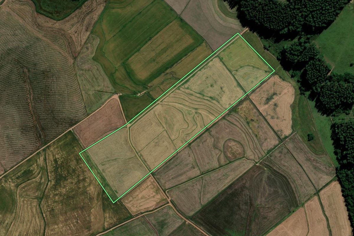 Imagem de satélite do imóvel rural em Cachoeira do Sul (RS), com o contorno declarado no CAR desenhado por cima.