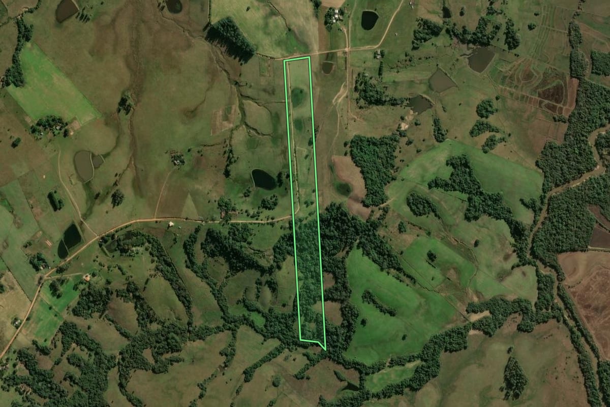 Imagem de satélite do imóvel rural em Cachoeira do Sul (RS), com o contorno declarado no CAR desenhado por cima.