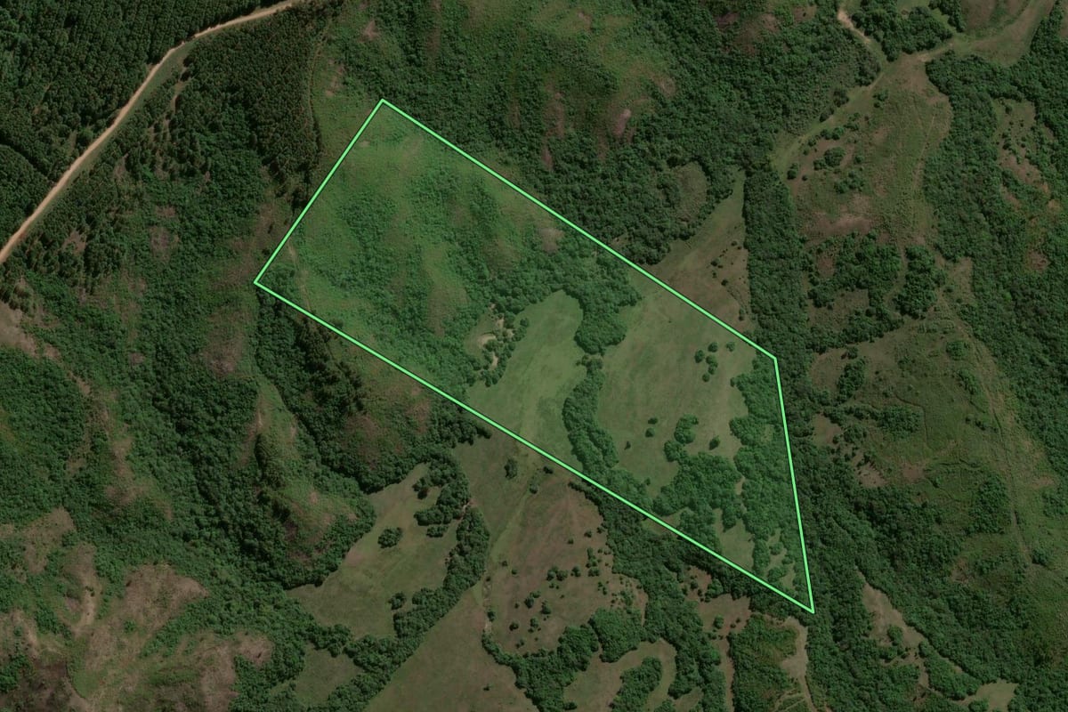 Imagem de satélite do imóvel rural em Cachoeira do Sul (RS), com o contorno declarado no CAR desenhado por cima.