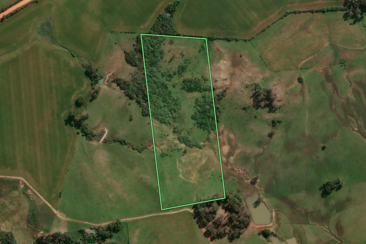 Imagem de satélite do imóvel rural em Cachoeira do Sul (RS), com o contorno declarado no CAR desenhado por cima.