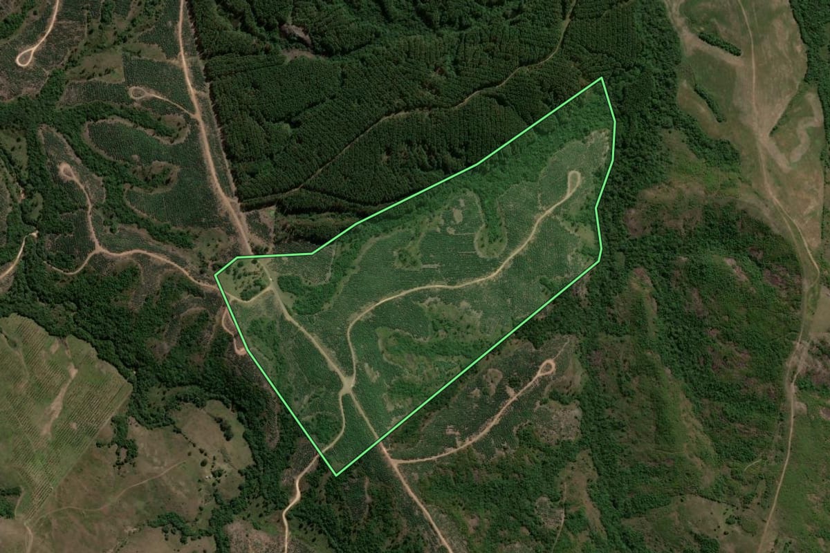 Imagem de satélite do imóvel rural em Cachoeira do Sul (RS), com o contorno declarado no CAR desenhado por cima.