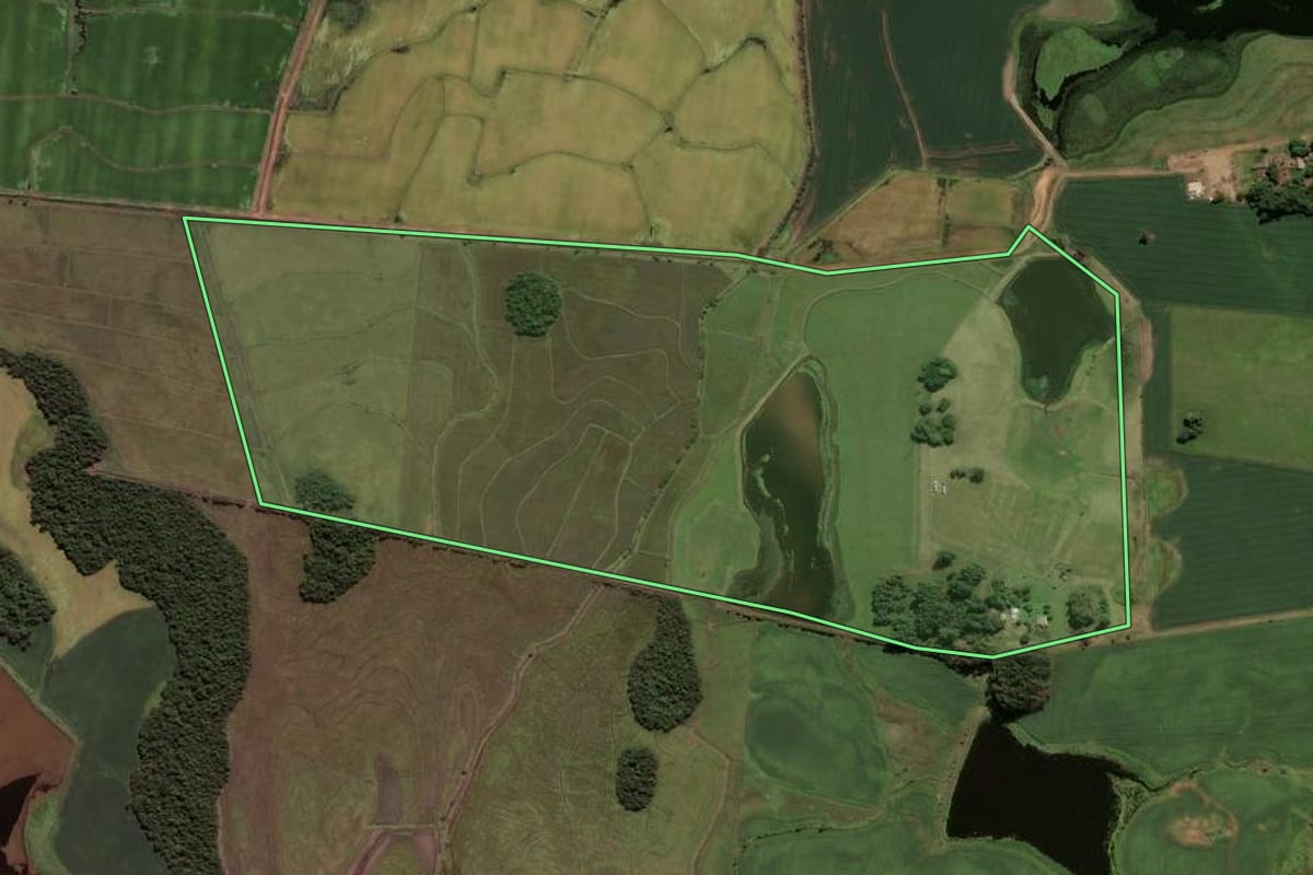 Imagem de satélite do imóvel rural em Cachoeira do Sul (RS), com o contorno declarado no CAR desenhado por cima.