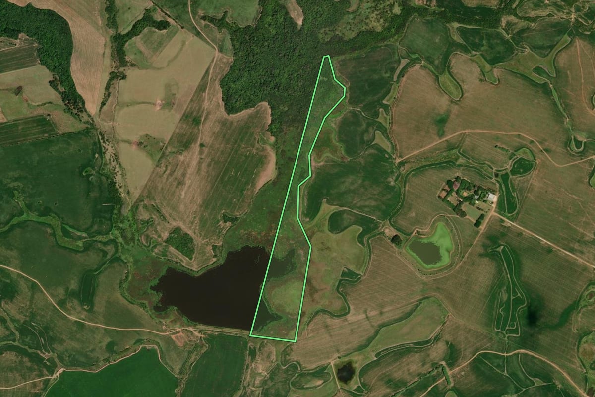 Imagem de satélite do imóvel rural em Cachoeira do Sul (RS), com o contorno declarado no CAR desenhado por cima.