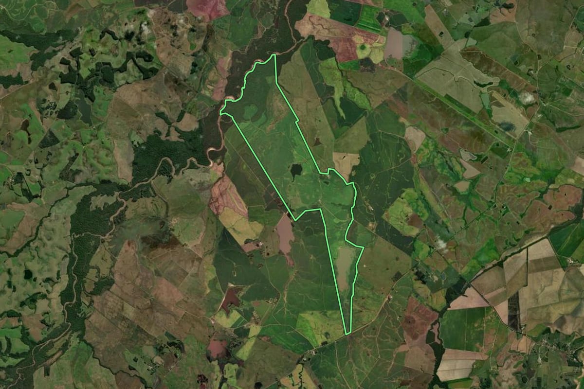 Imagem de satélite do imóvel rural em Cachoeira do Sul (RS), com o contorno declarado no CAR desenhado por cima.
