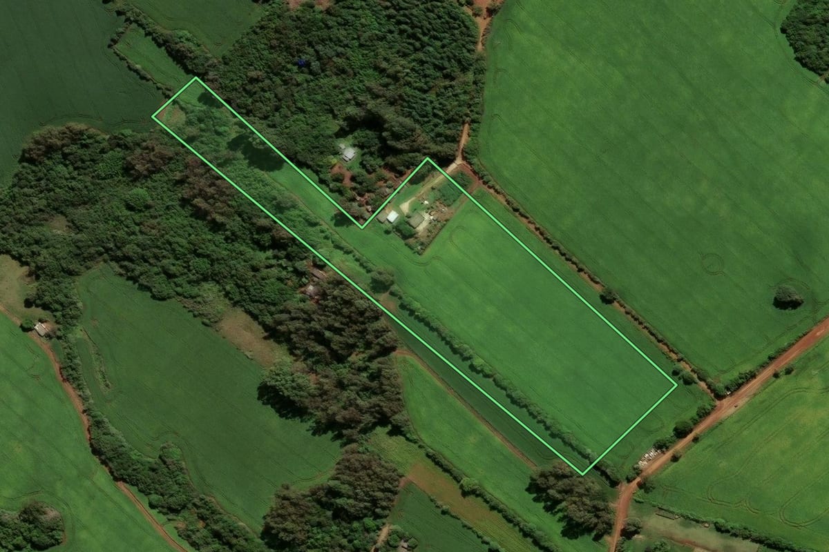 Imagem de satélite do imóvel rural em Cachoeira do Sul (RS), com o contorno declarado no CAR desenhado por cima.
