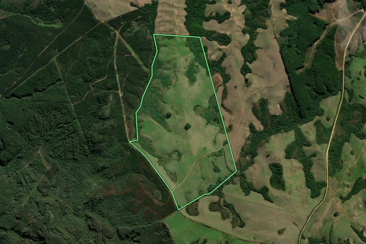 Imagem de satélite do imóvel rural em Cachoeira do Sul (RS), com o contorno declarado no CAR desenhado por cima.