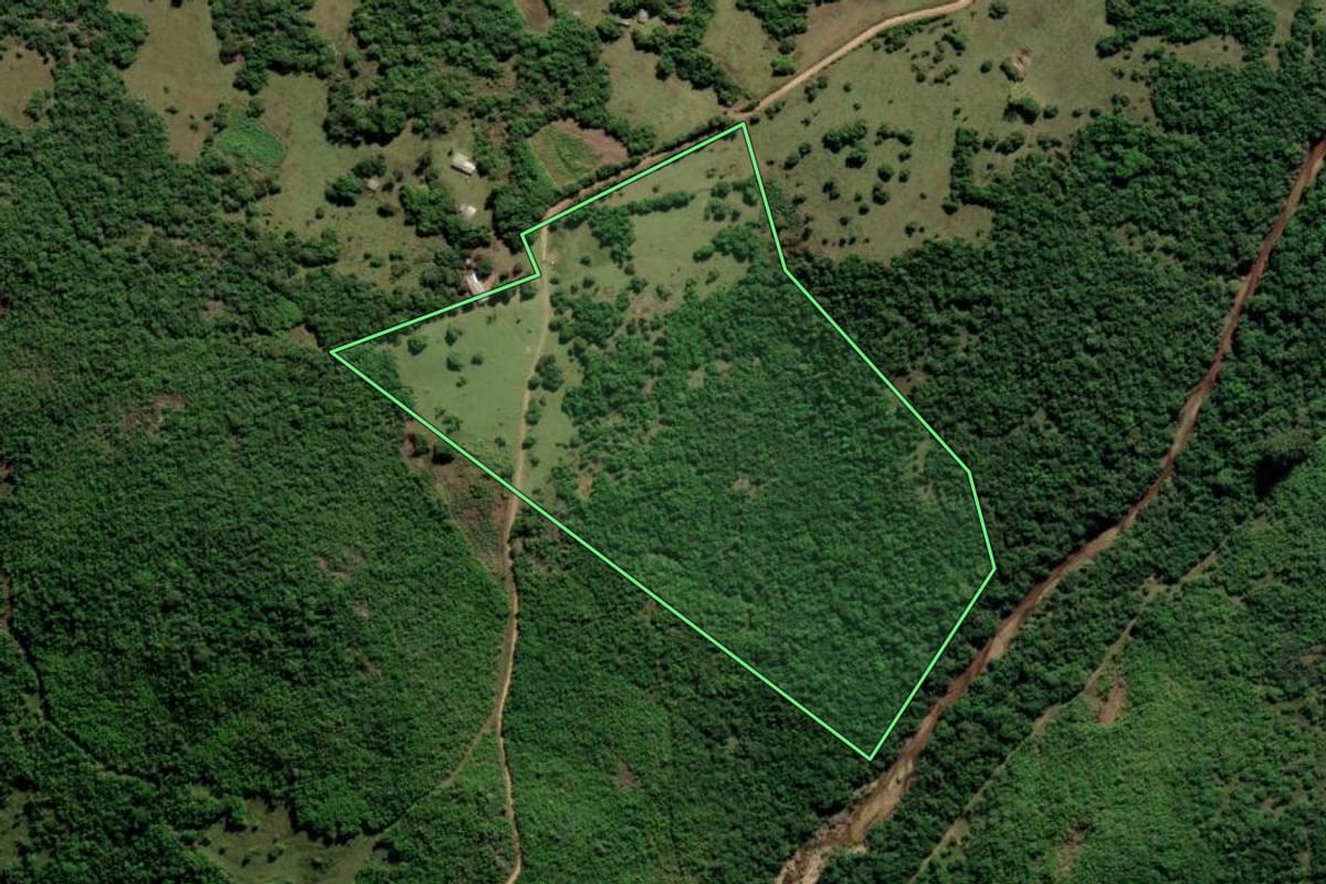 Imagem de satélite do imóvel rural em Cachoeira do Sul (RS), com o contorno declarado no CAR desenhado por cima.