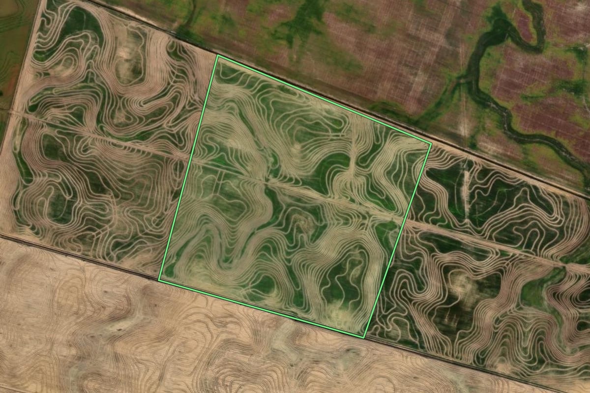 Imagem de satélite do imóvel rural em Cachoeira do Sul (RS), com o contorno declarado no CAR desenhado por cima.