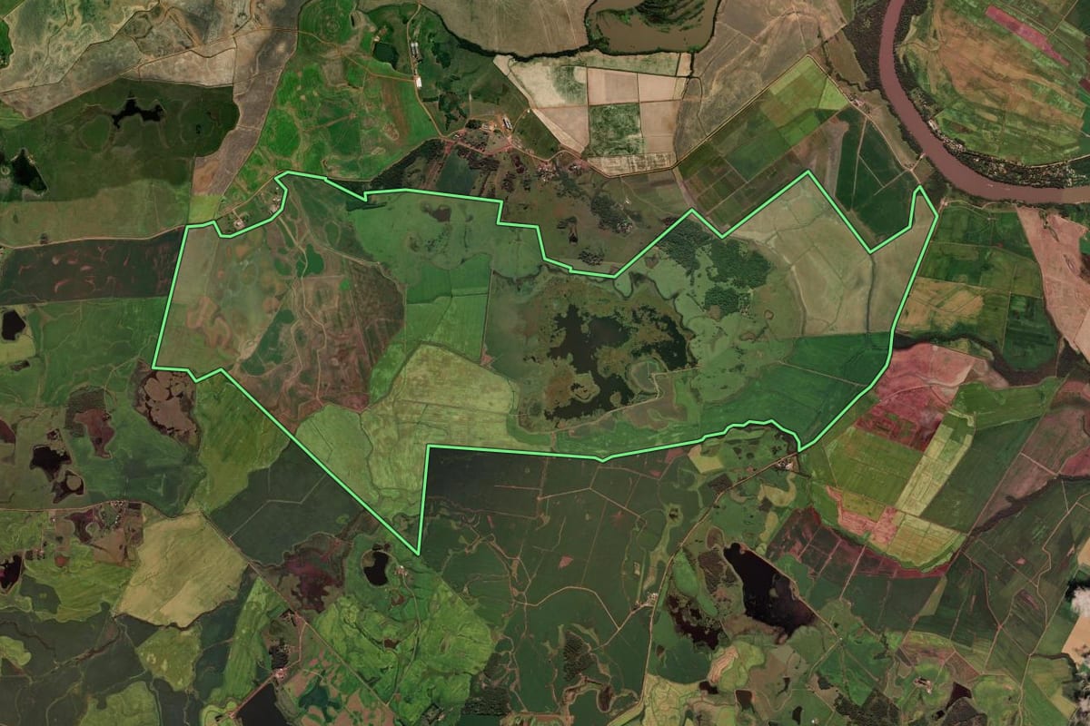Imagem de satélite do imóvel rural em Cachoeira do Sul (RS), com o contorno declarado no CAR desenhado por cima.