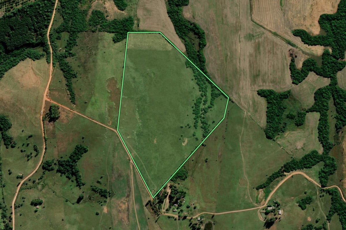 Imagem de satélite do imóvel rural em Cachoeira do Sul (RS), com o contorno declarado no CAR desenhado por cima.