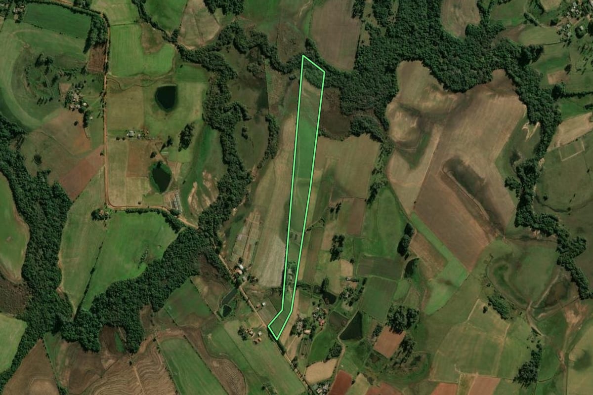 Imagem de satélite do imóvel rural em Cachoeira do Sul (RS), com o contorno declarado no CAR desenhado por cima.