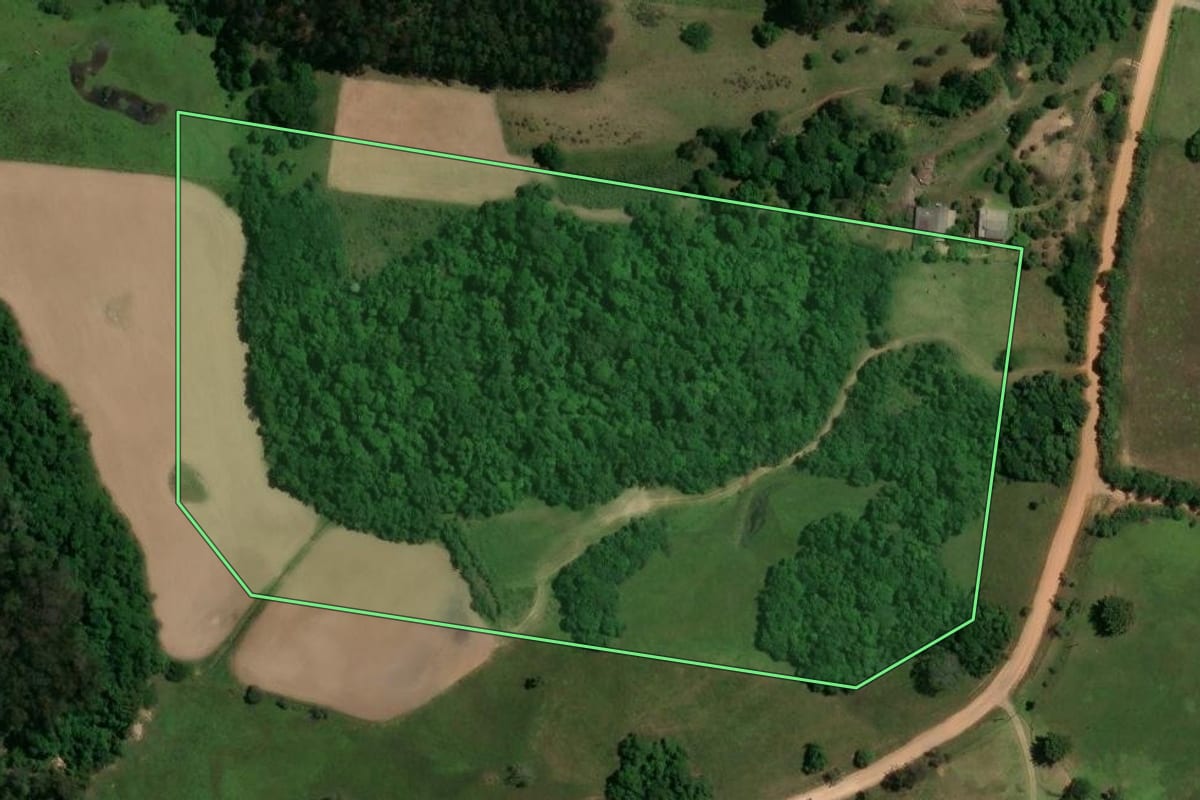 Imagem de satélite do imóvel rural em Cachoeira do Sul (RS), com o contorno declarado no CAR desenhado por cima.