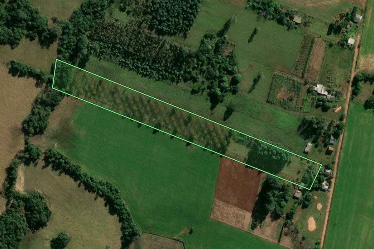 Imagem de satélite do imóvel rural em Cachoeira do Sul (RS), com o contorno declarado no CAR desenhado por cima.