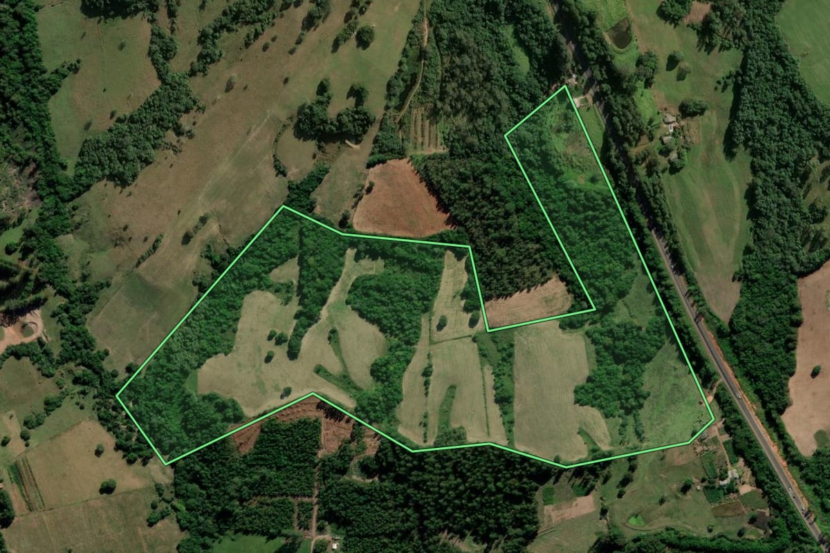 Imagem de satélite do imóvel rural em Cachoeira do Sul (RS), com o contorno declarado no CAR desenhado por cima.