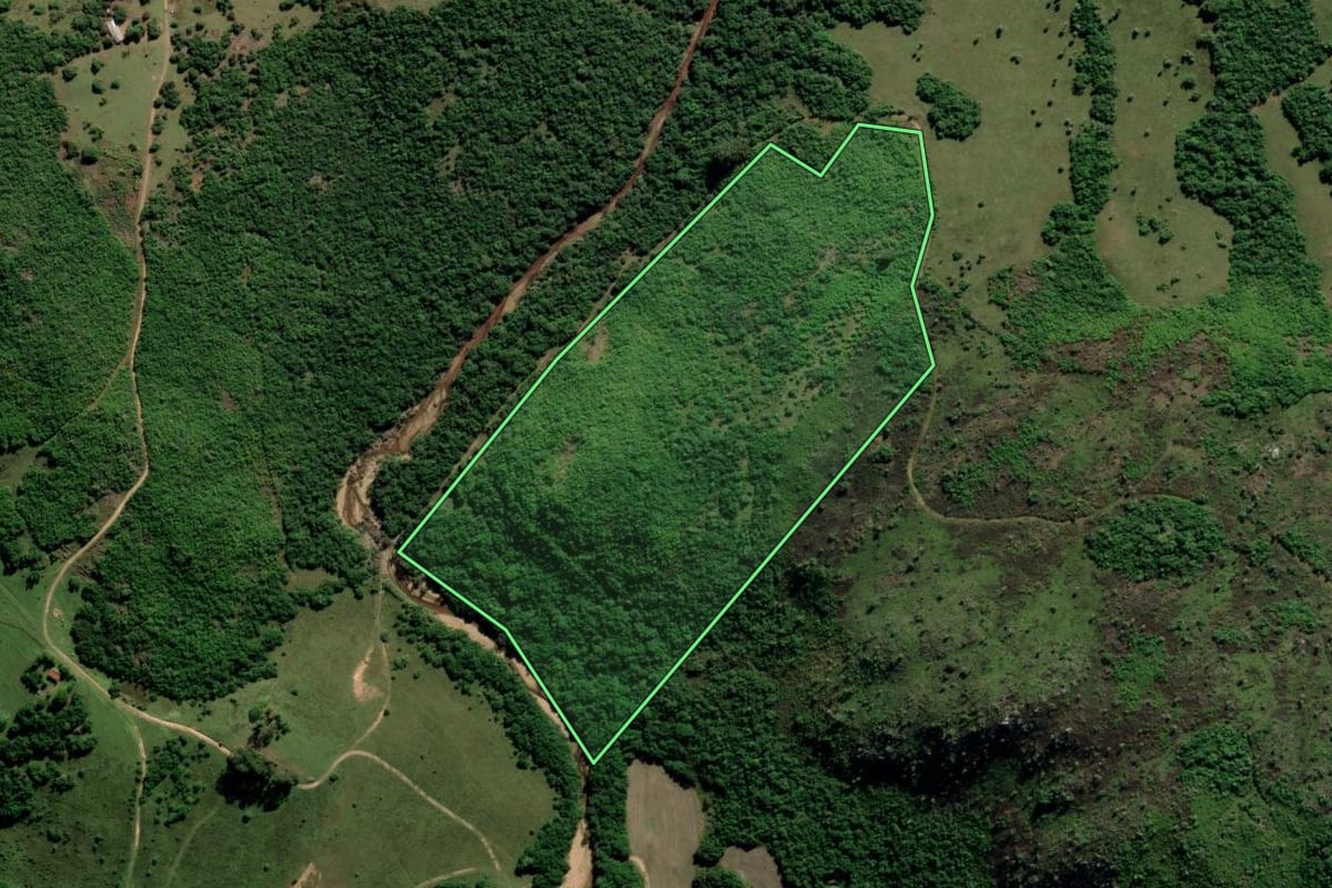 Imagem de satélite do imóvel rural em Cachoeira do Sul (RS), com o contorno declarado no CAR desenhado por cima.