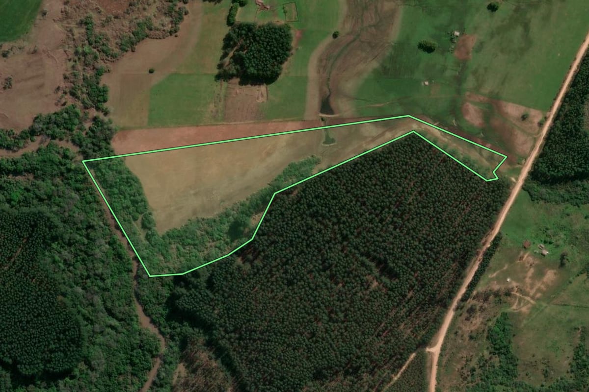 Imagem de satélite do imóvel rural em Cachoeira do Sul (RS), com o contorno declarado no CAR desenhado por cima.