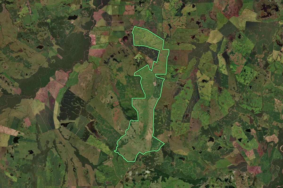 Imagem de satélite do imóvel rural em Cachoeira do Sul (RS), com o contorno declarado no CAR desenhado por cima.