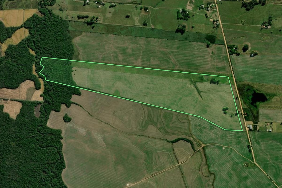 Imagem de satélite do imóvel rural em Cachoeira do Sul (RS), com o contorno declarado no CAR desenhado por cima.