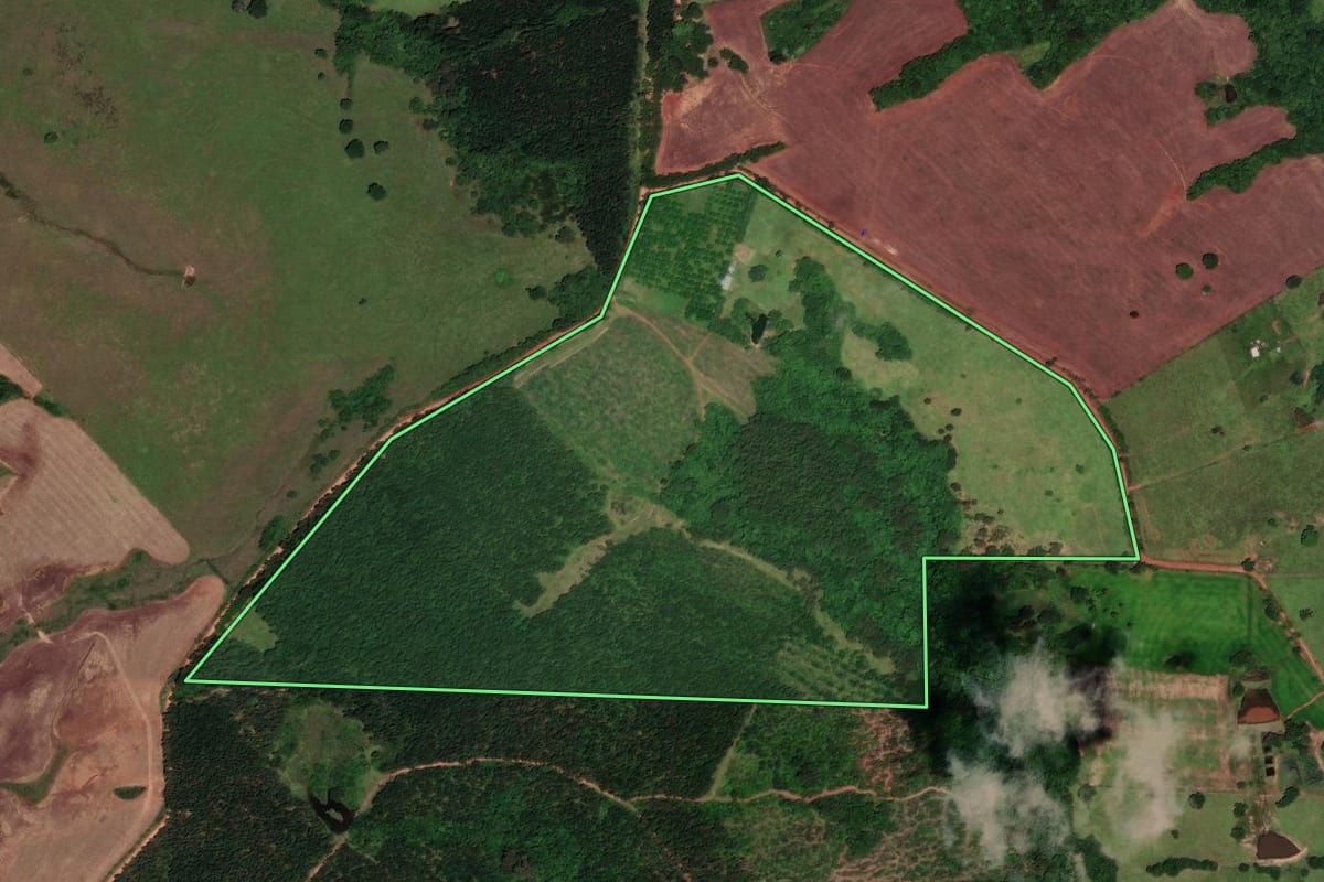 Imagem de satélite do imóvel rural em Cachoeira do Sul (RS), com o contorno declarado no CAR desenhado por cima.