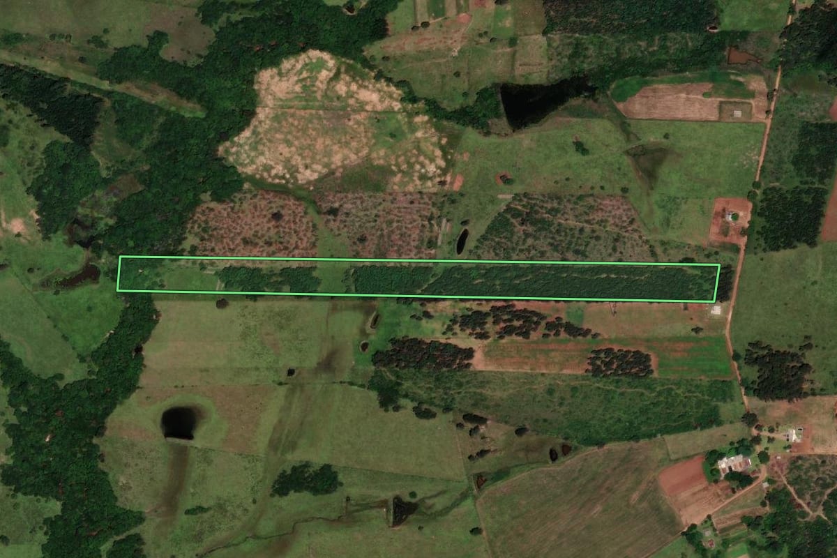 Imagem de satélite do imóvel rural em Cachoeira do Sul (RS), com o contorno declarado no CAR desenhado por cima.